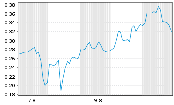 Chart Mini Future Long HealWELL - 1 Month