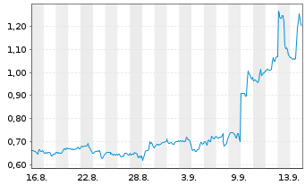 Chart Mini Future Long Oracle - 1 Monat