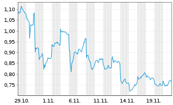 Chart Mini Future Long BYD - 1 Monat