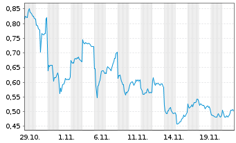 Chart Mini Future Long BYD - 1 Monat