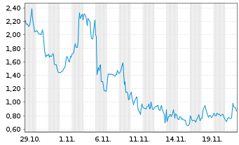 Chart Mini Future Long Canopy - 1 Monat