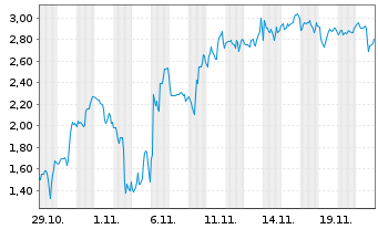 Chart Mini Future Short Canopy - 1 Monat