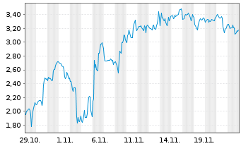 Chart Mini Future Short Canopy - 1 mois