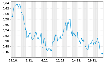 Chart Mini Future Short Shell - 1 Monat