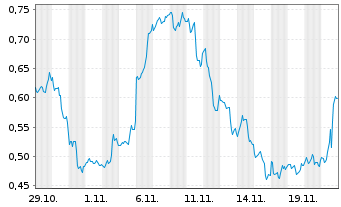 Chart Mini Future Long Micron - 1 Monat