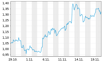 Chart Mini Future Long Snowflake - 1 Monat