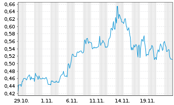 Chart Mini Future Short BayWa - 1 mois