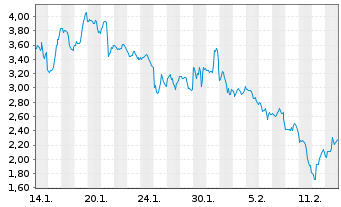 Chart Mini Future Long Tesla - 1 Monat