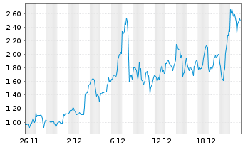 Chart Mini Future Long Palantir - 1 Monat