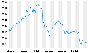 Chart Mini Future Long RENK - 1 Monat