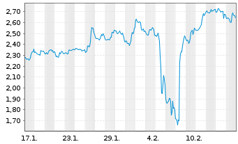 Chart Mini Future Short Canopy - 1 Month