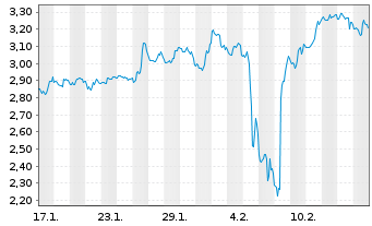 Chart Mini Future Short Canopy - 1 Month