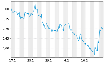 Chart Mini Future Short freenet - 1 Month