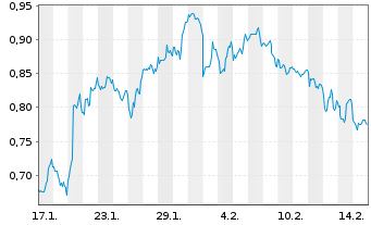 Chart Mini Future Long 3M - 1 Monat