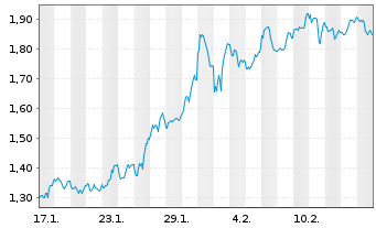 Chart Mini Future Long Visa - 1 Monat