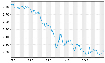 Chart Mini Future Short Visa - 1 Monat