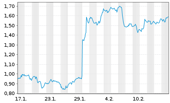 Chart Mini Future Long IBM - 1 mois