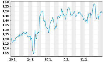 Chart Mini Future Long Snowflake - 1 Month