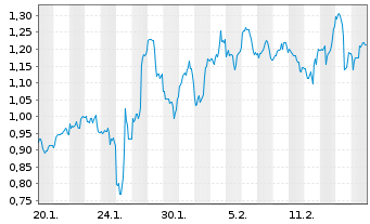 Chart Mini Future Long Snowflake - 1 Month