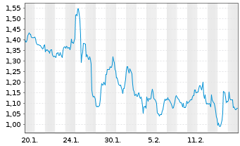 Chart Mini Future Short Snowflake - 1 Month