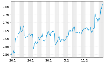 Chart Mini Future Long S&T - 1 Month