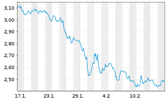 Chart Mini Future Short Visa - 1 Monat