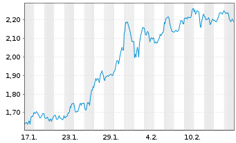 Chart Mini Future Long Visa - 1 Monat