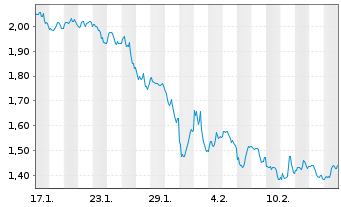 Chart Mini Future Short Visa - 1 Monat