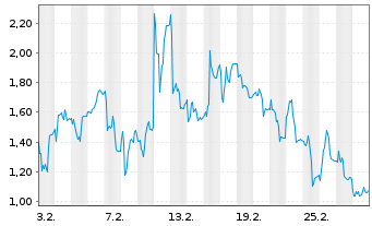 Chart Mini Future Long Verbio Vereinigte Bioenergie - 1 Monat