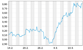 Chart Mini Future Short Visa - 1 Month