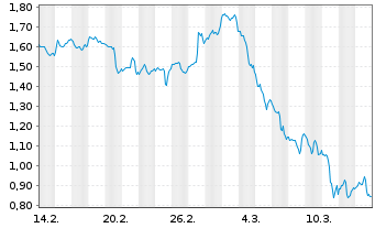 Chart Mini Future Long Visa - 1 Monat