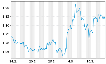 Chart Mini Future Short Chevron - 1 mois