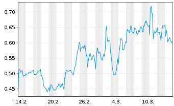 Chart Mini Future Long Volkswagen - 1 mois