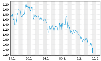 Chart Mini Future Long Tesla - 1 Monat