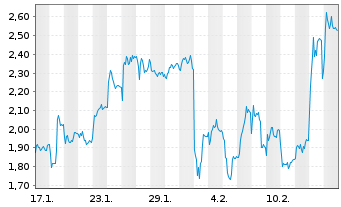 Chart Mini Future Long Volkswagen - 1 Monat