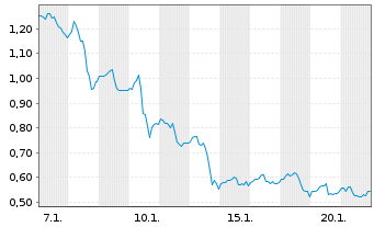 Chart Mini Future Long Canopy - 1 Monat