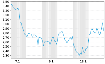 Chart Mini Future Long Microstrategy - 1 Monat