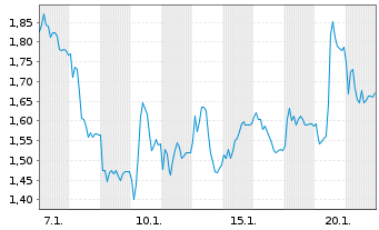 Chart Mini Future Long BMW - 1 Monat