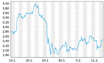 Chart Mini Future Long Micron - 1 Monat