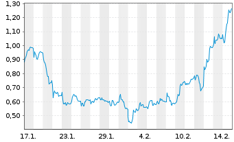 Chart Mini Future Long Delivery Hero - 1 Month