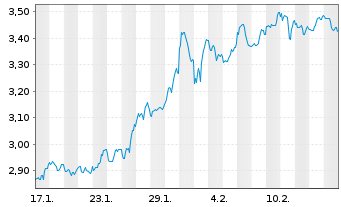 Chart Mini Future Long Visa - 1 Monat