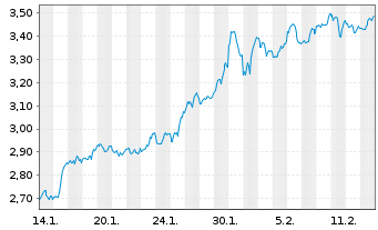 Chart Mini Future Long Visa - 1 Monat