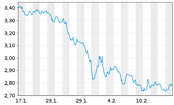 Chart Mini Future Short Visa - 1 Monat