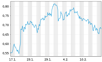 Chart Mini Future Long 3M - 1 Monat