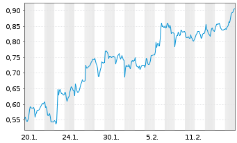 Chart Mini Future Long Salzgitter - 1 Month