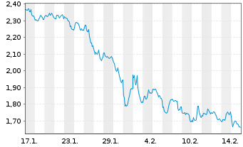 Chart Mini Future Short Visa - 1 Month