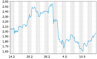 Chart Mini Future Long BYD - 1 mois