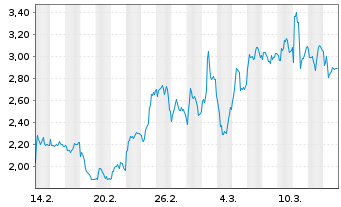 Chart Mini Future Long Volkswagen - 1 mois