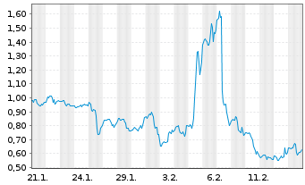 Chart Mini Future Long Canopy - 1 Monat