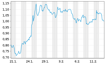 Chart Mini Future Short Micron - 1 Monat